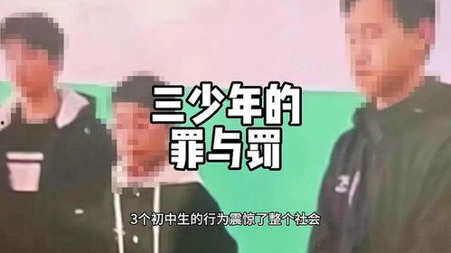 热门大瓜莫里秀 社会热点话题事件素材,揭秘社会热点事件背后的真相与反思